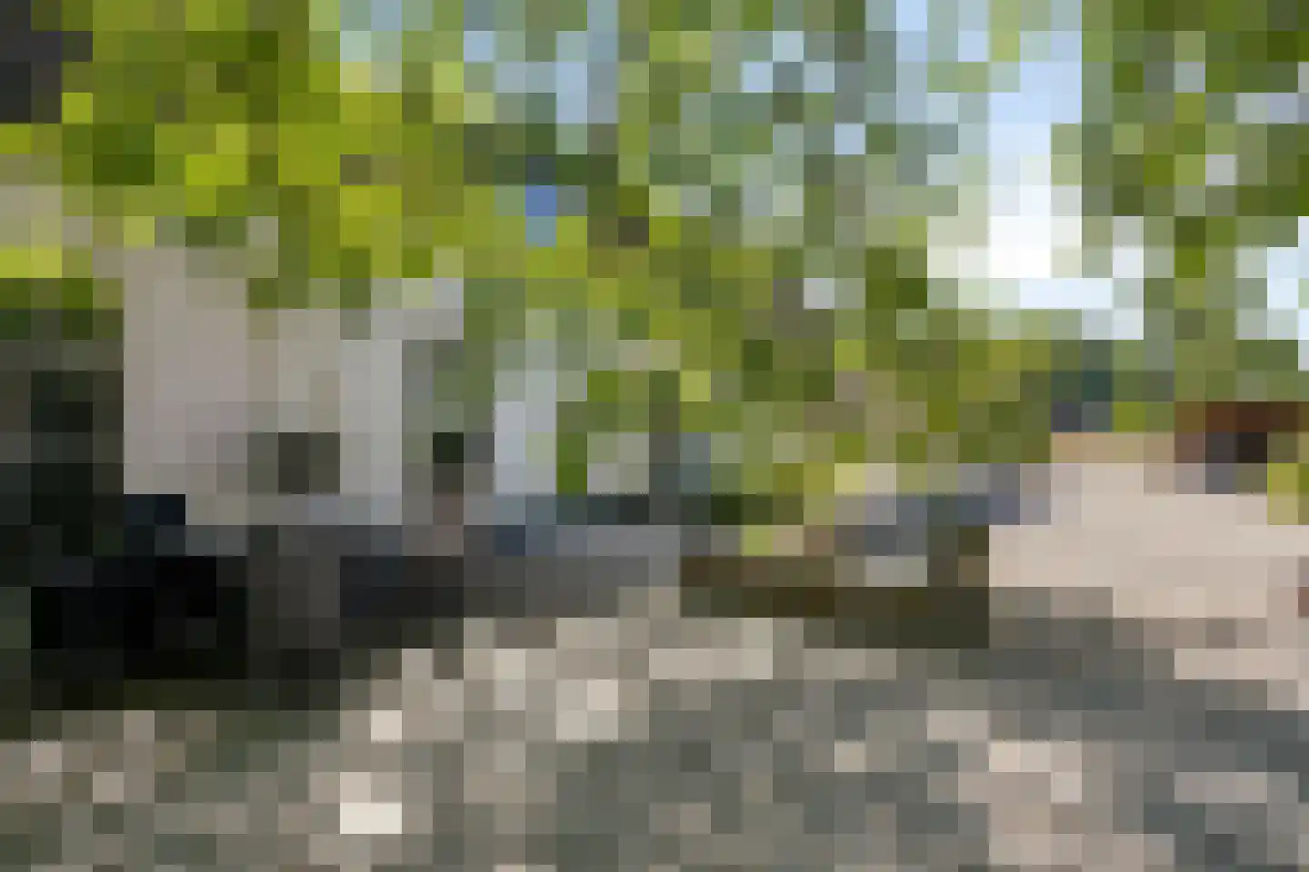 Voortstraat 15 Maasbracht thumbnail 42