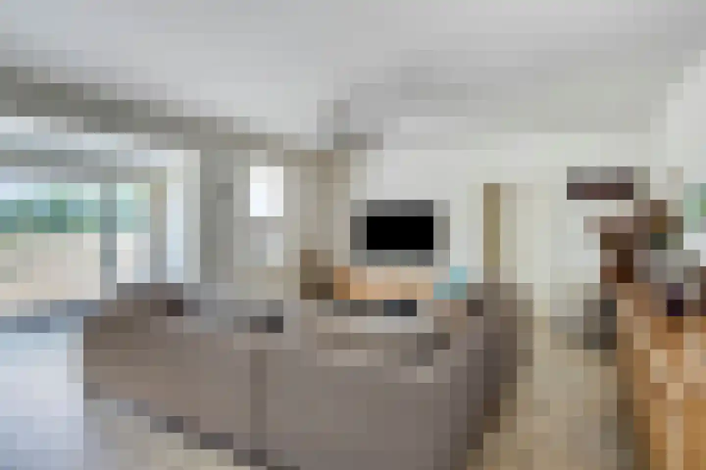 Voortstraat 15 Maasbracht thumbnail 7