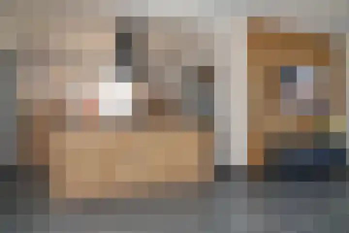Voortstraat 33 Schijndel thumbnail 5