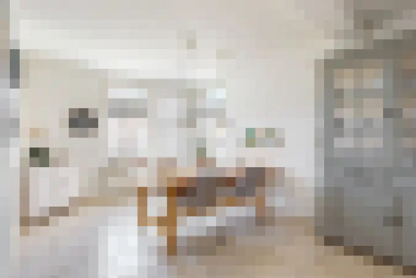 Voortstraat 6 Maasbracht thumbnail 12