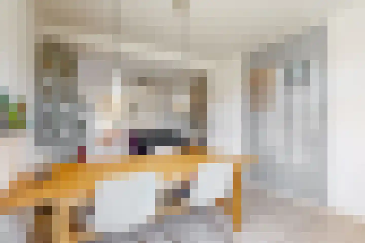 Voortstraat 6 Maasbracht thumbnail 14