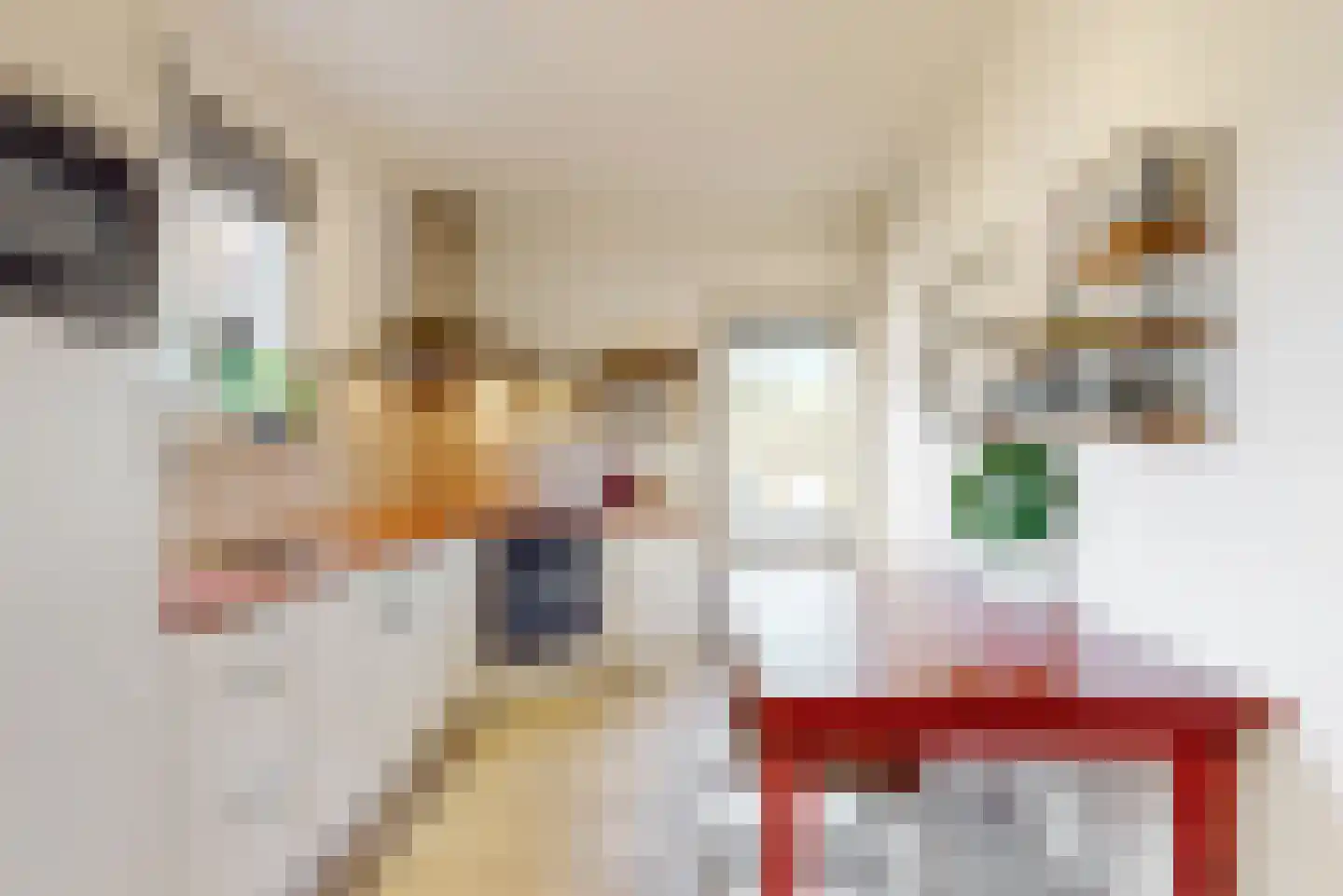Voortstraat 6 Maasbracht thumbnail 15