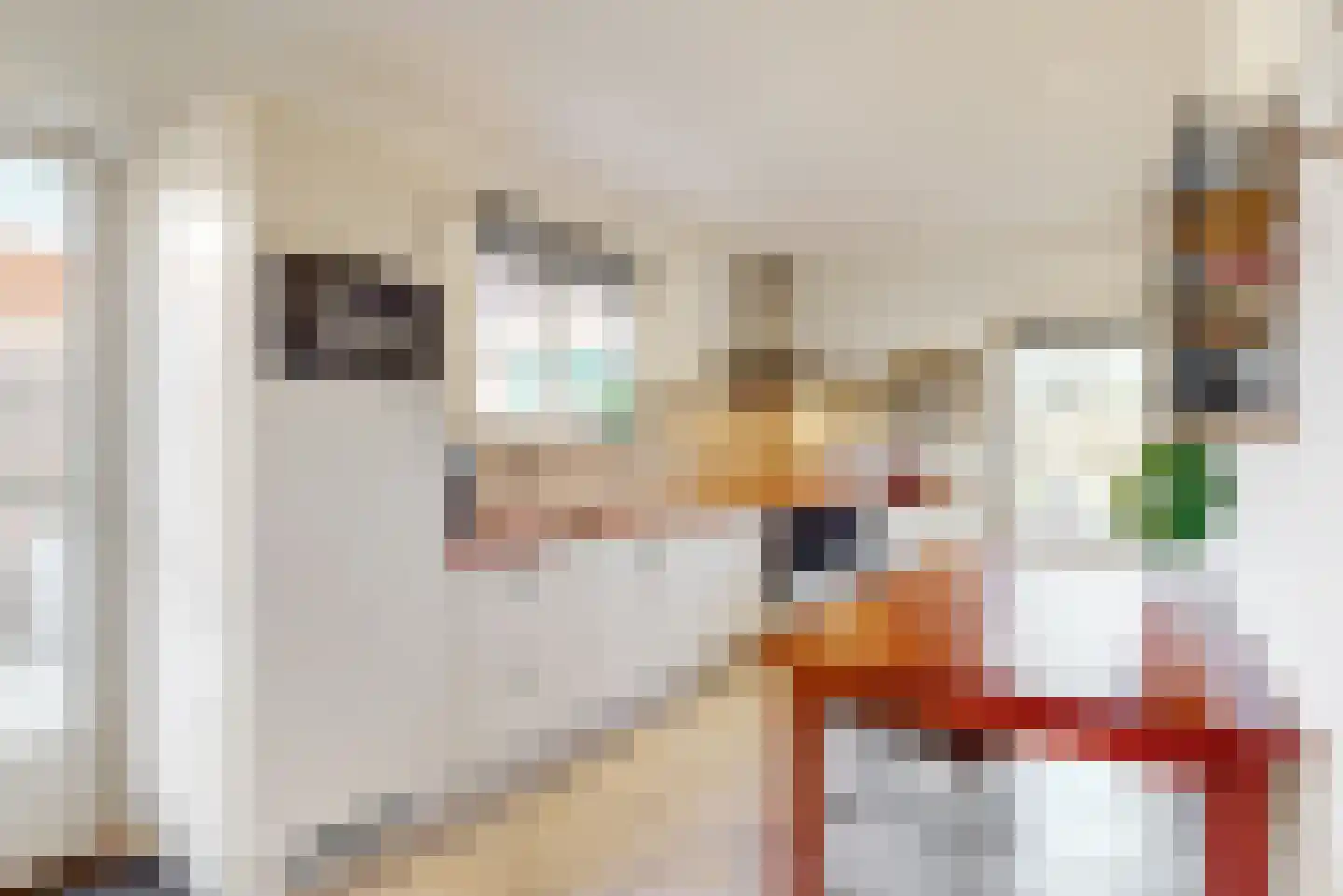 Voortstraat 6 Maasbracht thumbnail 16