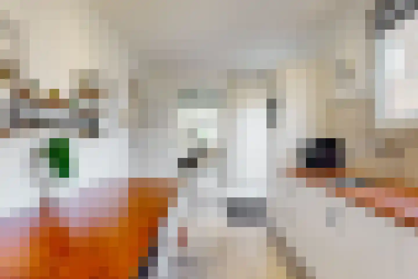 Voortstraat 6 Maasbracht thumbnail 18