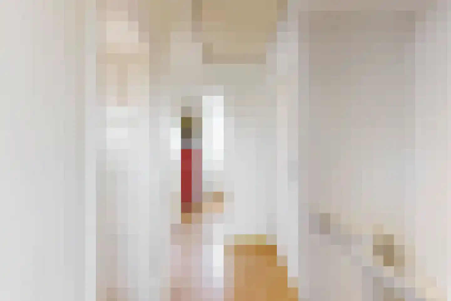 Voortstraat 6 Maasbracht thumbnail 22