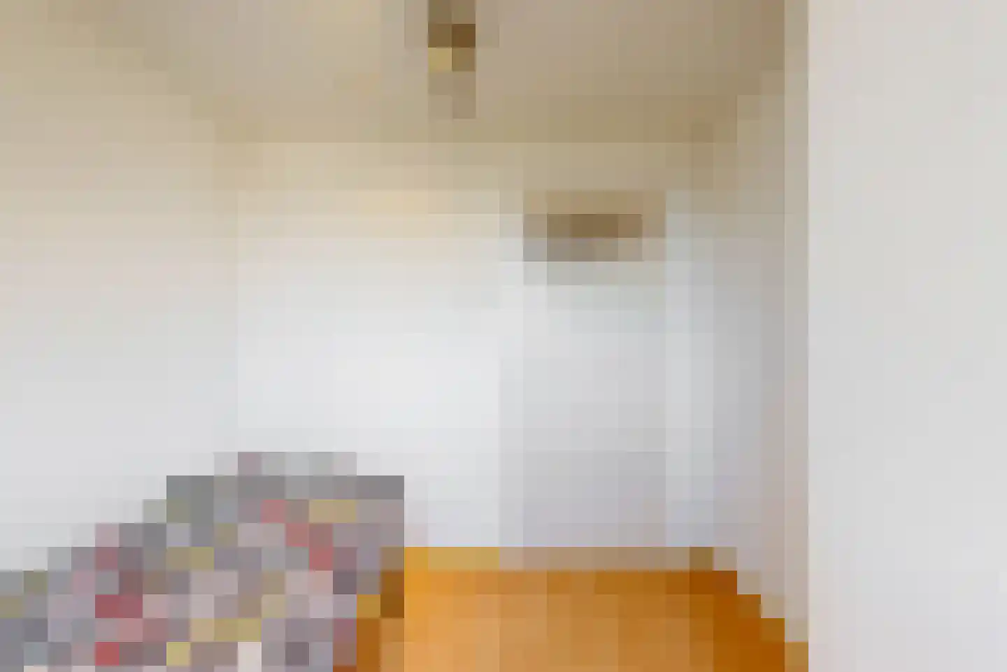 Voortstraat 6 Maasbracht thumbnail 28