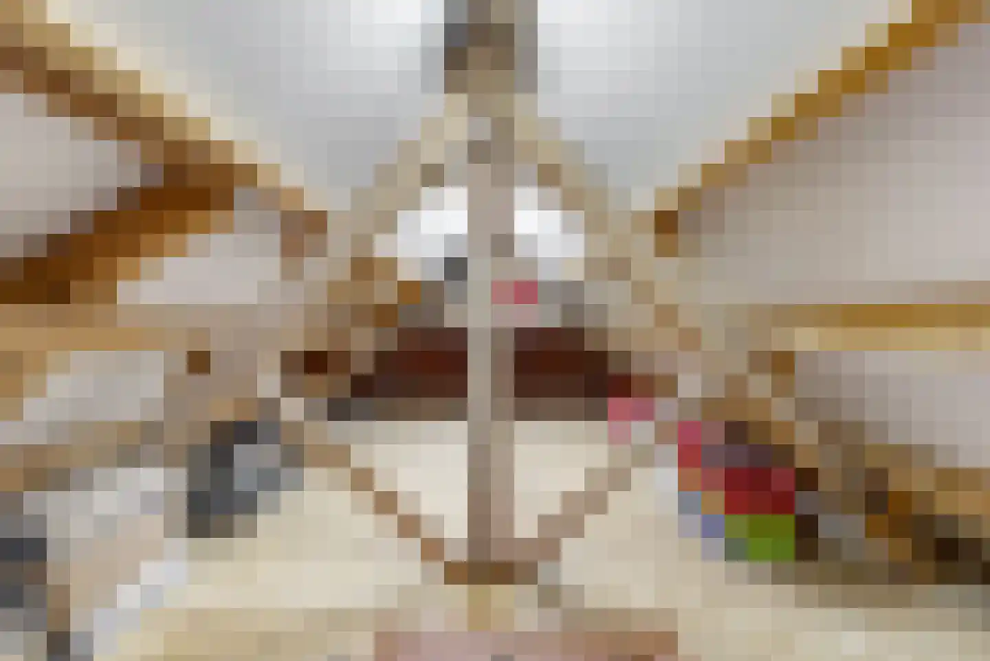 Voortstraat 6 Maasbracht thumbnail 32