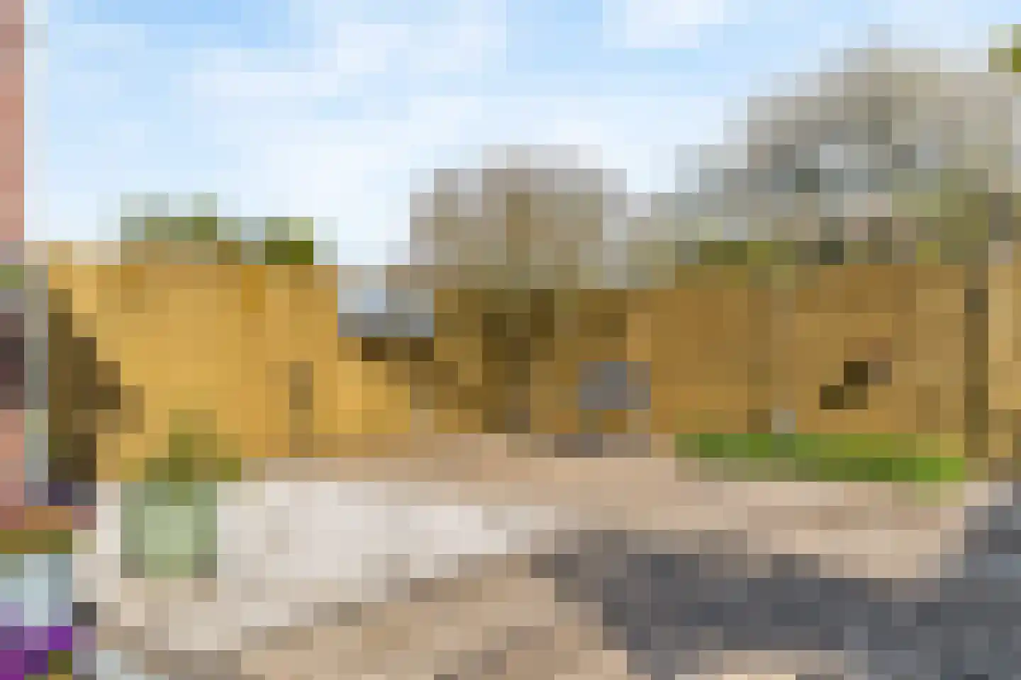 Voortstraat 6 Maasbracht thumbnail 34