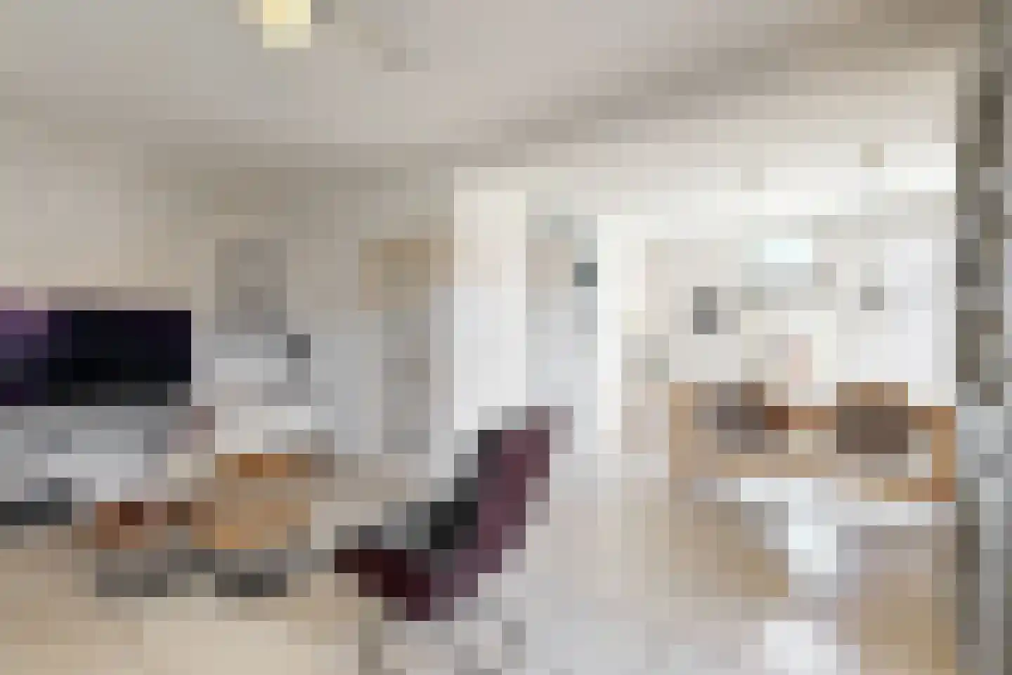 Voortstraat 6 Maasbracht thumbnail 9