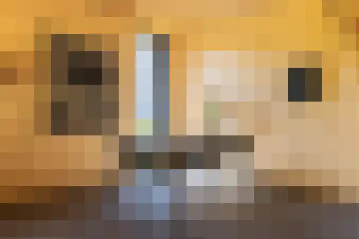 Voortstreven 4 Renkum thumbnail 12