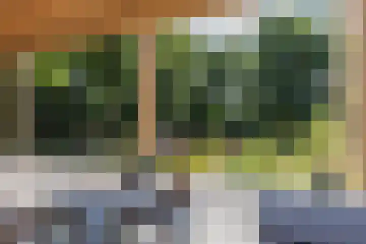 Voortstreven 4 Renkum thumbnail 13
