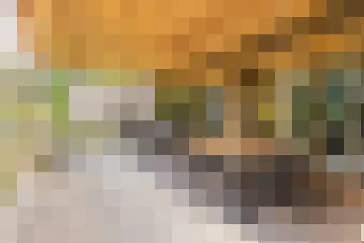 Voortstreven 4 Renkum thumbnail 14