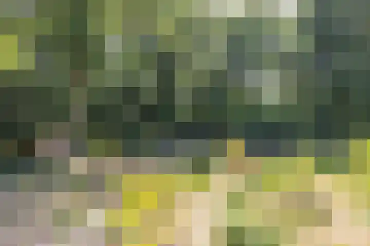 Voortstreven 4 Renkum thumbnail 16
