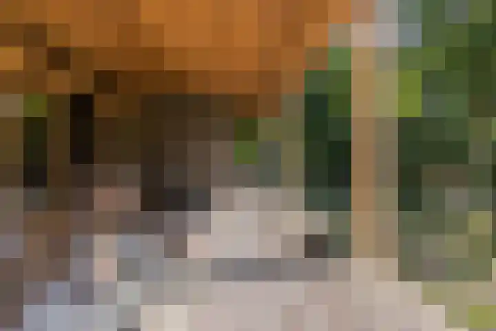 Voortstreven 4 Renkum thumbnail 18