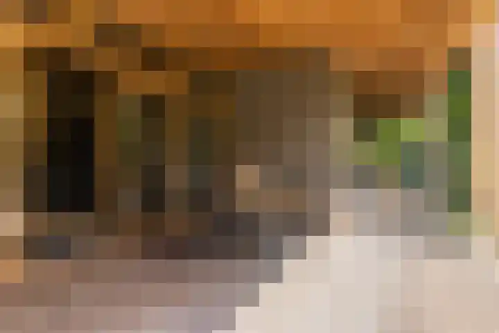 Voortstreven 4 Renkum thumbnail 19