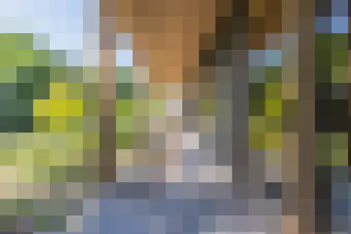 Voortstreven 4 Renkum thumbnail 20