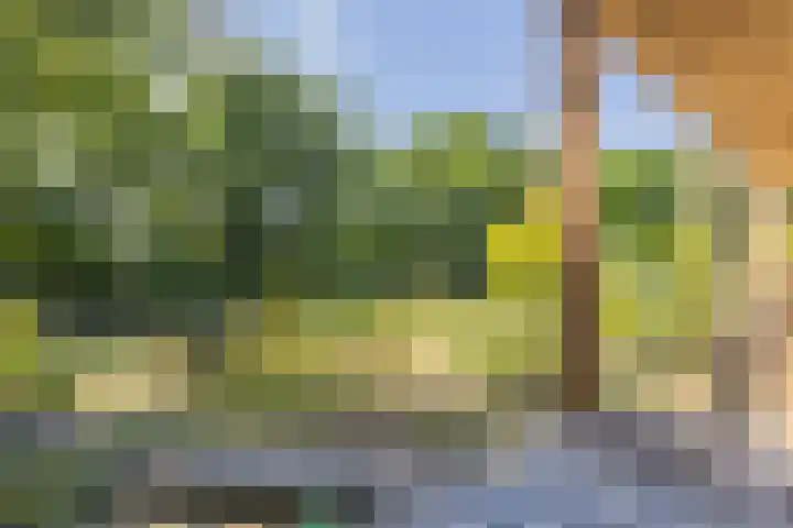 Voortstreven 4 Renkum thumbnail 21