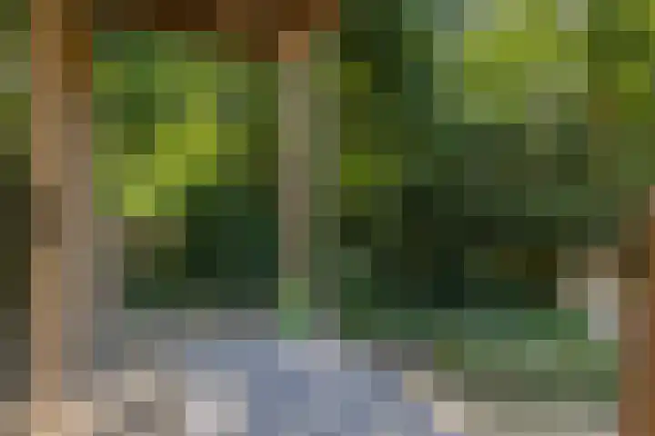 Voortstreven 4 Renkum thumbnail 22