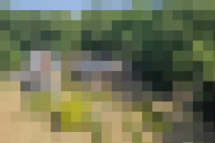 Voortstreven 4 Renkum thumbnail 34