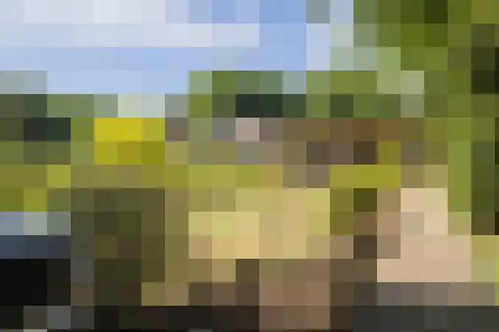 Voortstreven 4 Renkum thumbnail 36