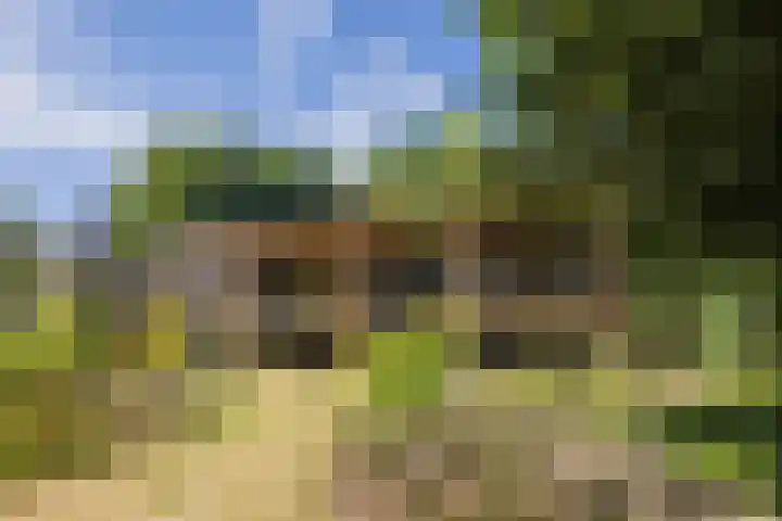 Voortstreven 4 Renkum thumbnail 37