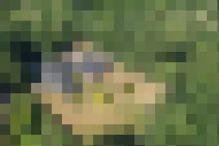 Voortstreven 4 Renkum thumbnail 38