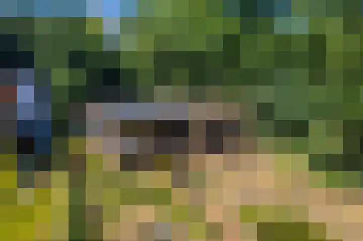Voortstreven 4 Renkum thumbnail 39