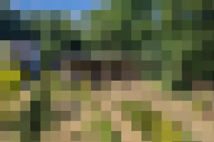 Voortstreven 4 Renkum thumbnail 40
