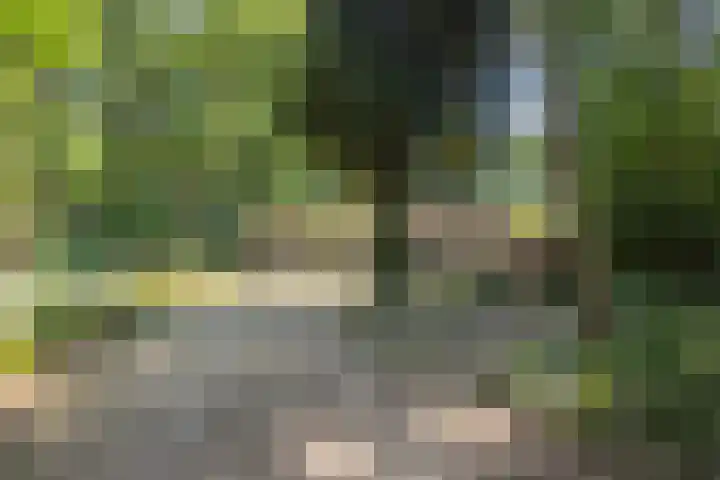 Voortstreven 4 Renkum thumbnail 45