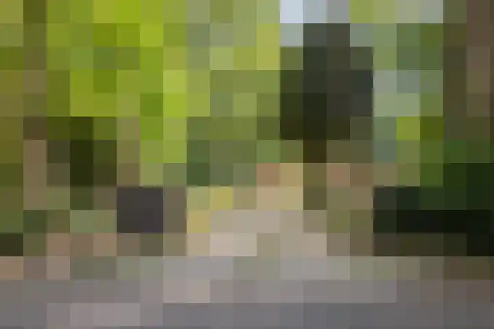 Voortstreven 4 Renkum thumbnail 48
