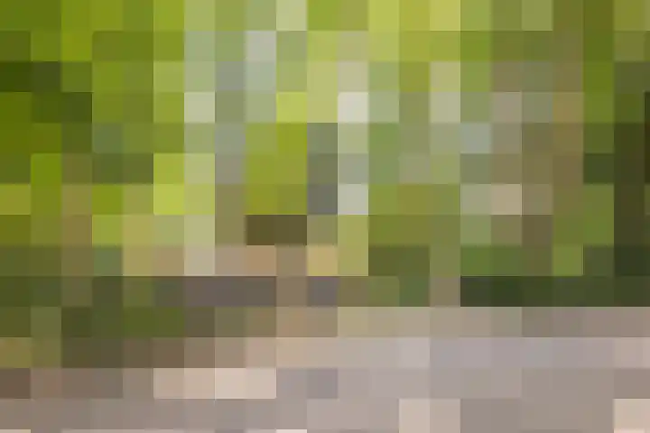 Voortstreven 4 Renkum thumbnail 49