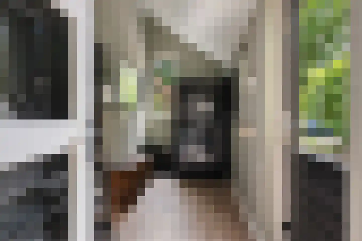 Voortstukken 12 Eelde thumbnail 11