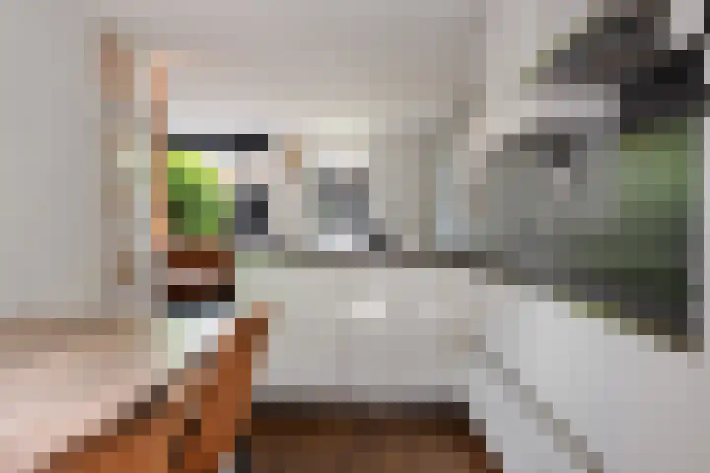 Voortstukken 12 Eelde thumbnail 13