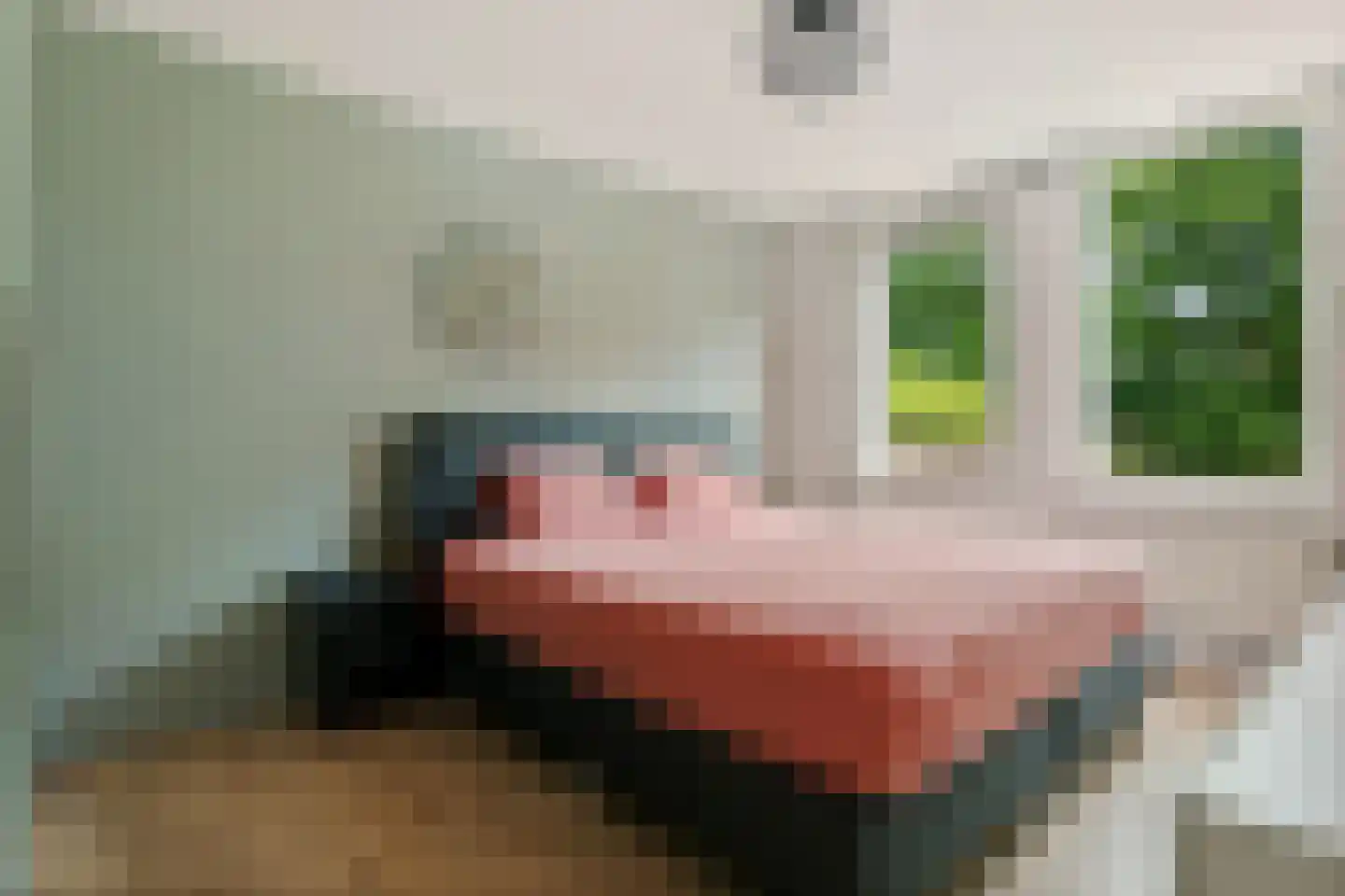 Voortstukken 12 Eelde thumbnail 28