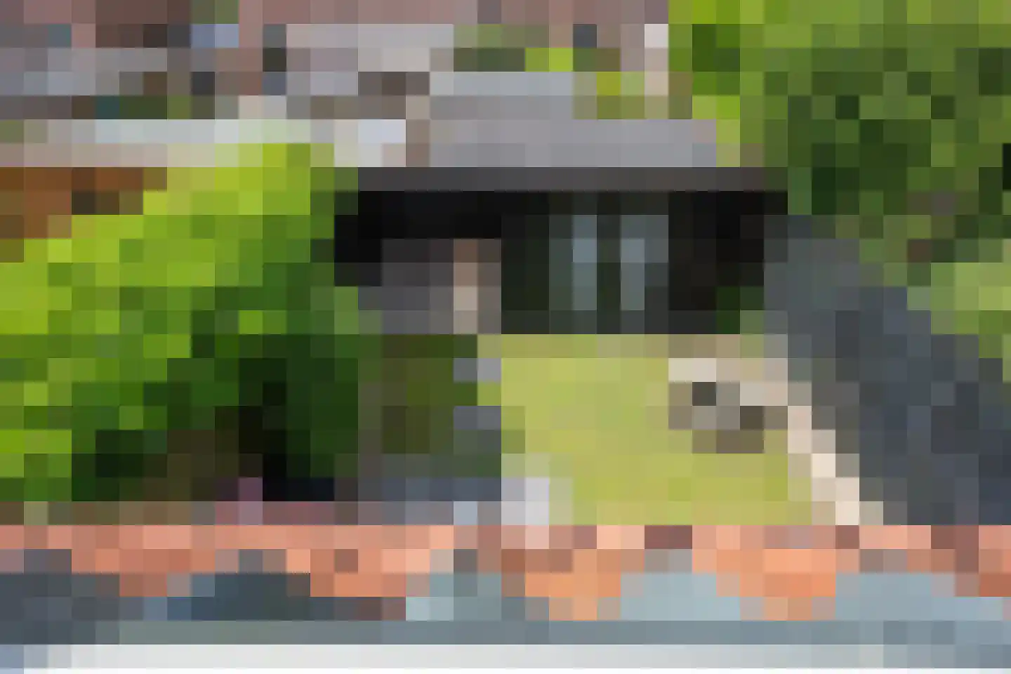 Voortstukken 12 Eelde thumbnail 37