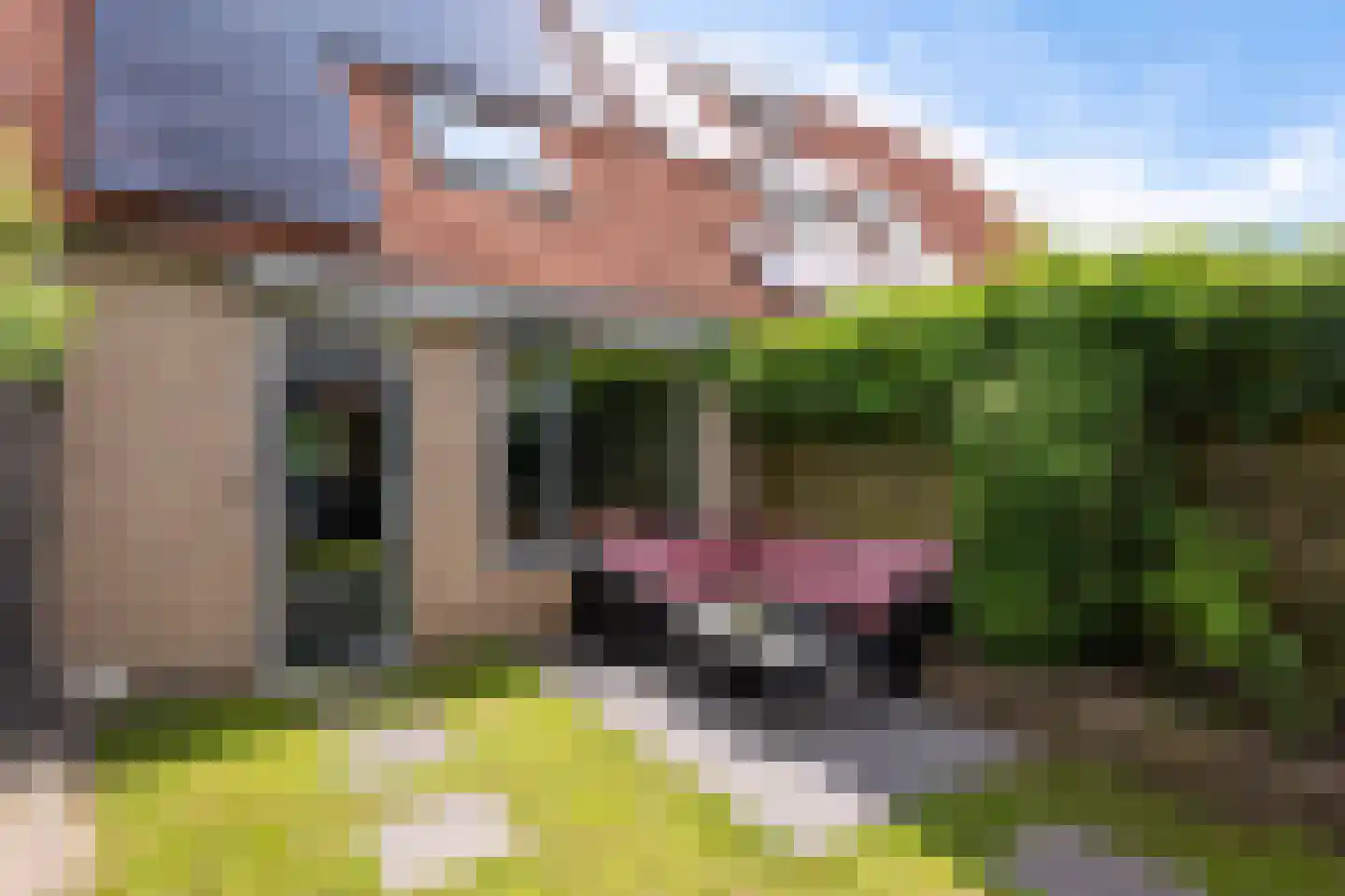 Voortstukken 12 Eelde thumbnail 38