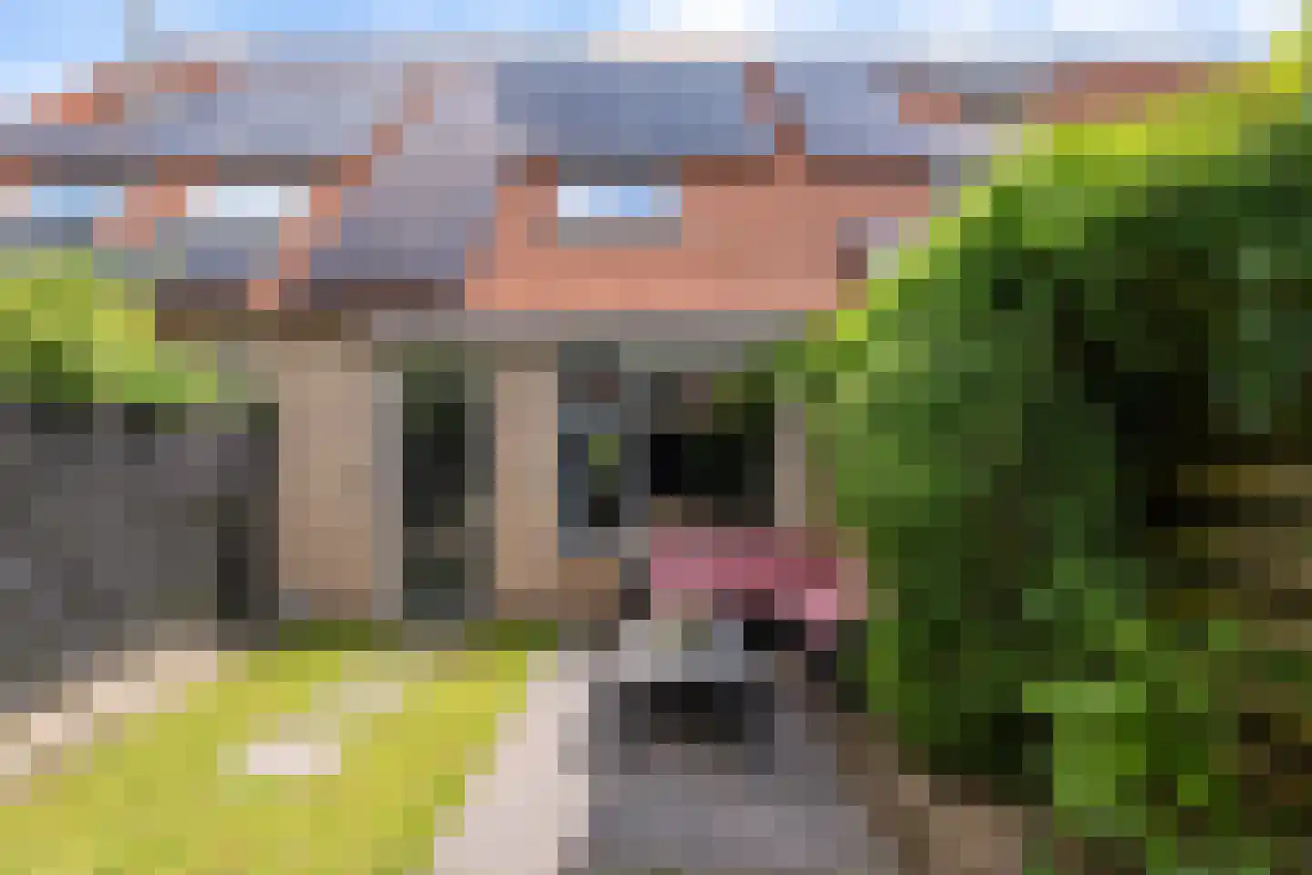 Voortstukken 12 Eelde thumbnail 39