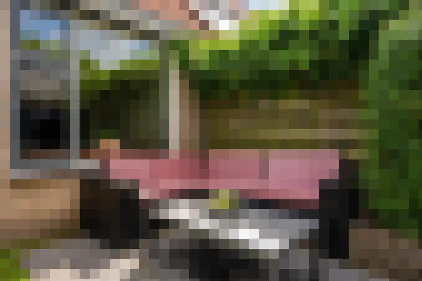 Voortstukken 12 Eelde thumbnail 40