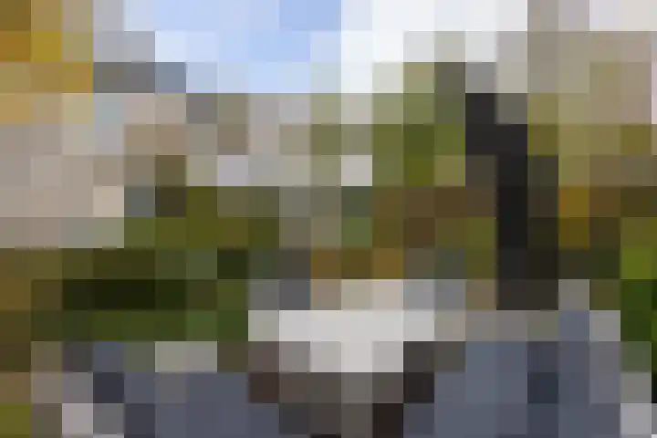 Voortsweg 233 Enschede thumbnail 37