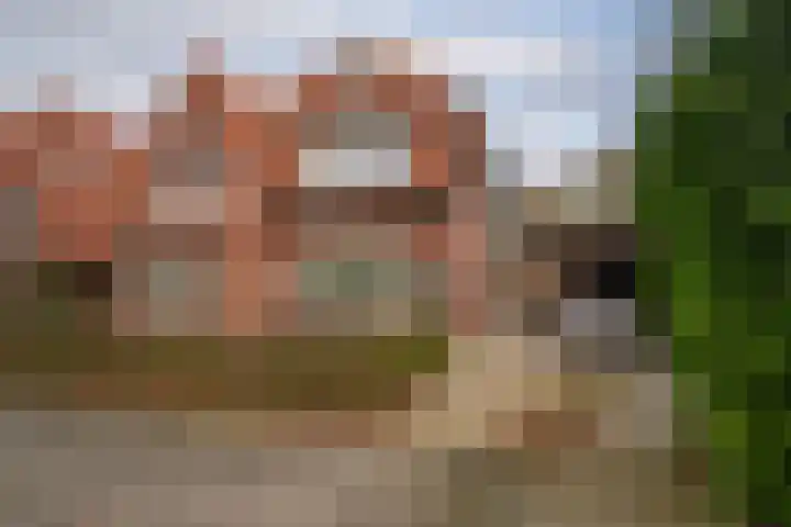 Voortsweg 338 Enschede thumbnail 31