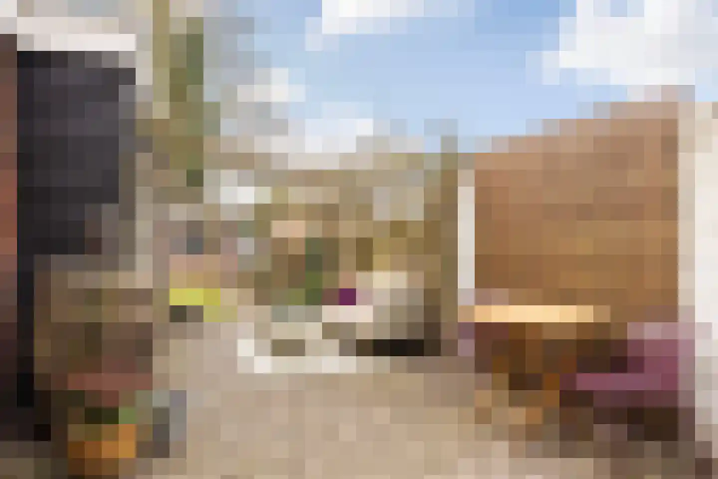 Voortsweg 367 Enschede thumbnail 4