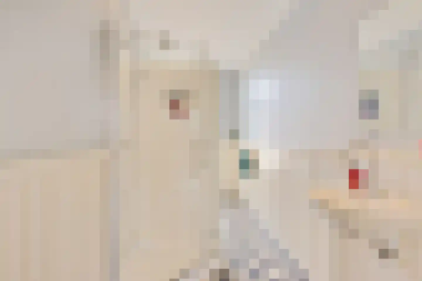 Voortsweg 7 Enschede thumbnail 32