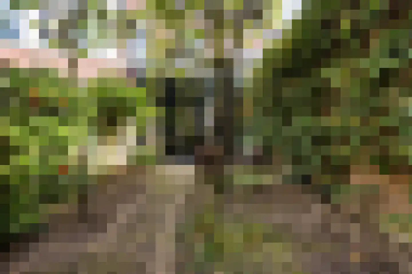 Voortsweg 7 Enschede thumbnail 49