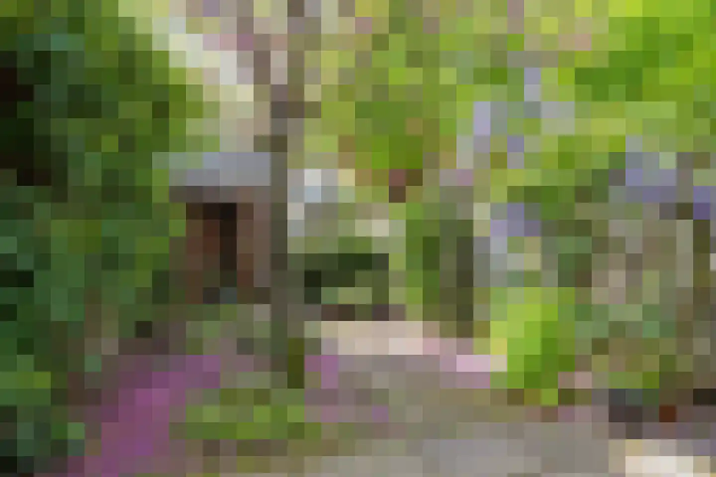 Voortsweg 7 Enschede thumbnail 50
