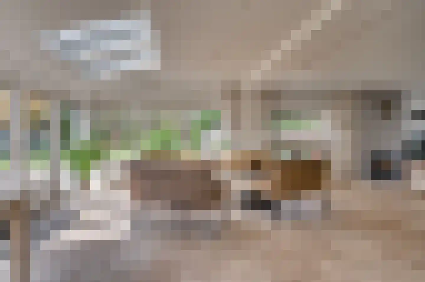 Voortweg 20 Venlo thumbnail 20