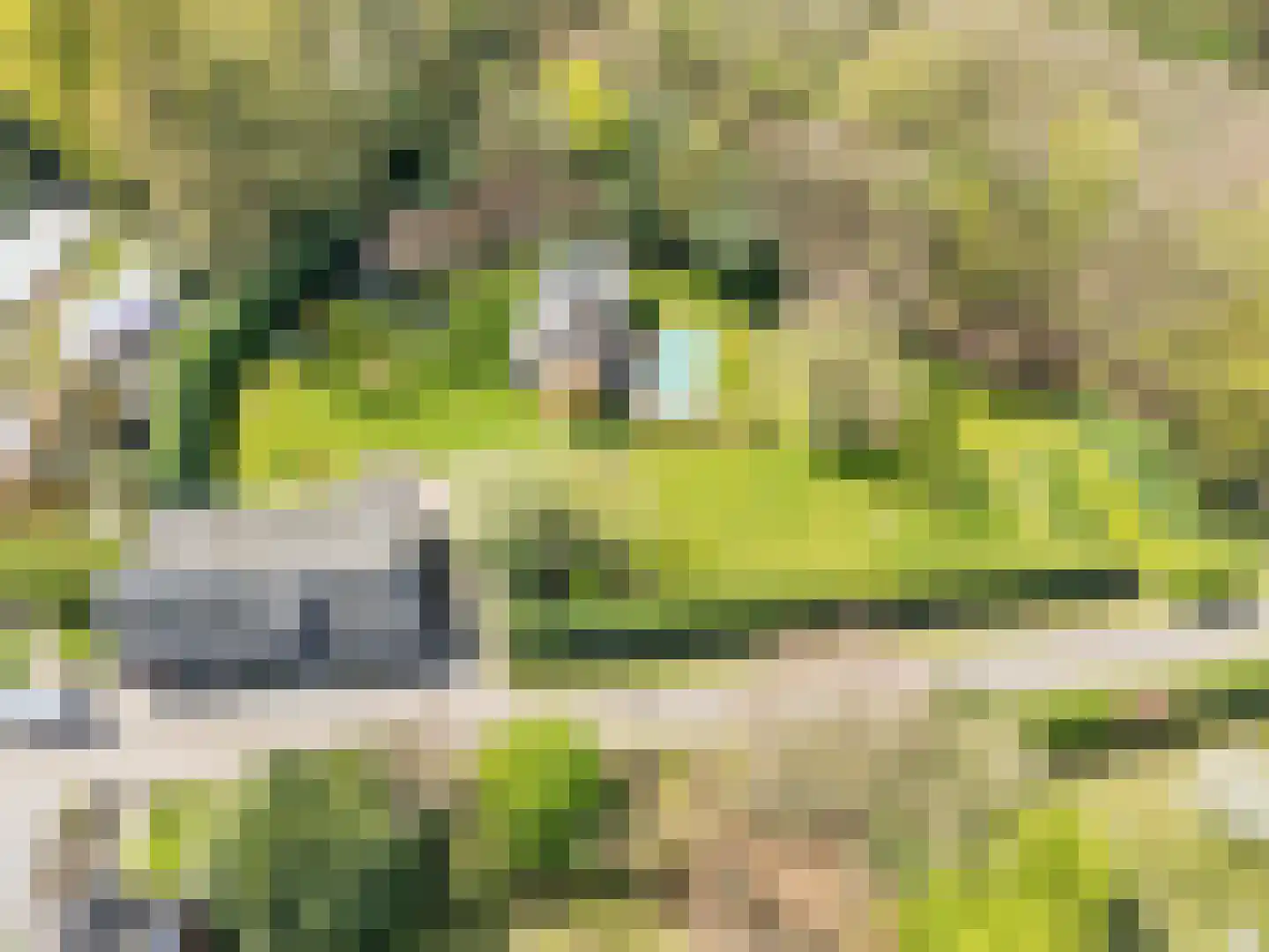 Voortweg 20 Venlo thumbnail 5