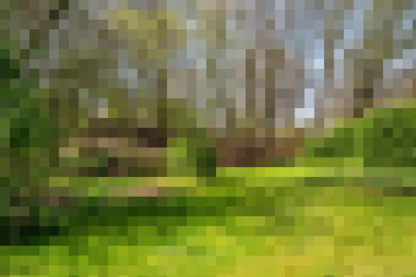 Voortweg 20 Venlo thumbnail 51
