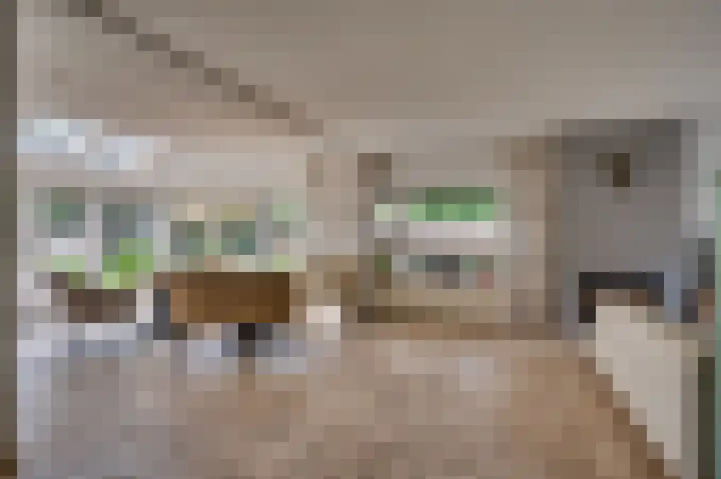 Voortweg 20 Venlo thumbnail 6
