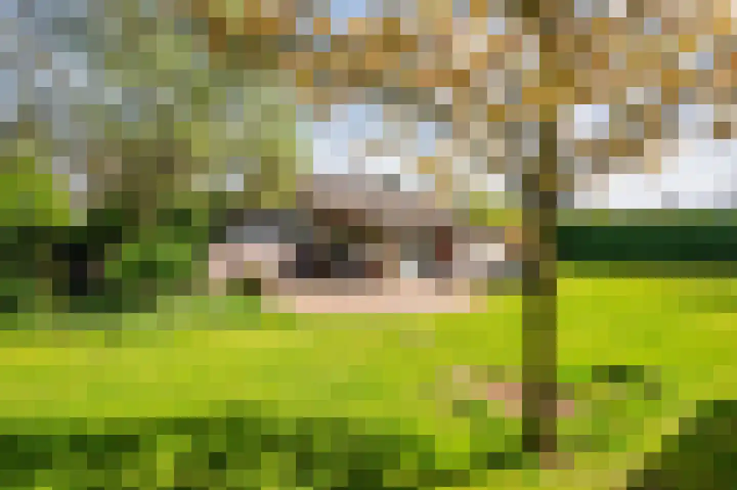 Voortweg 20 Venlo thumbnail 65