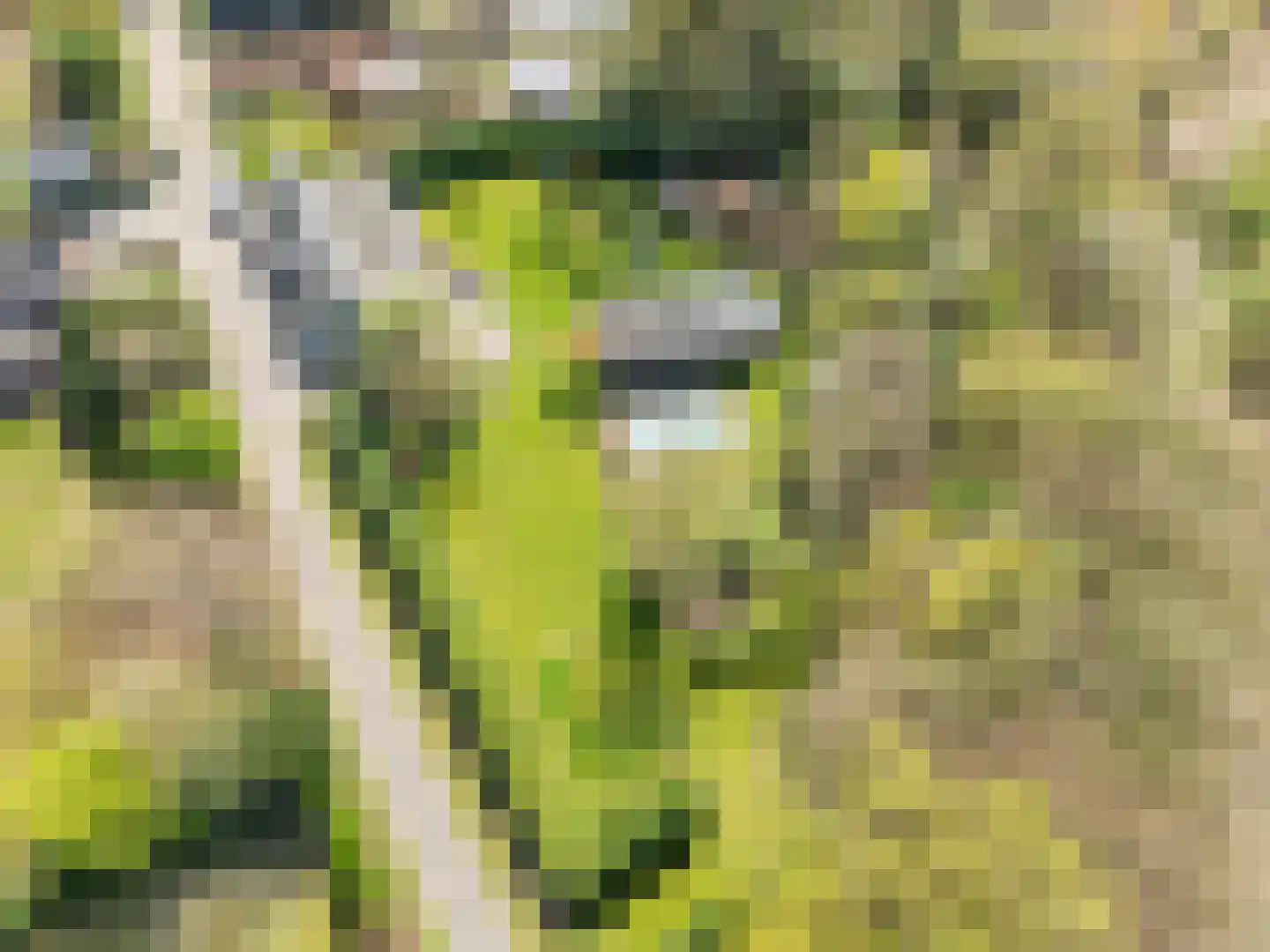 Voortweg 20 Venlo thumbnail 68